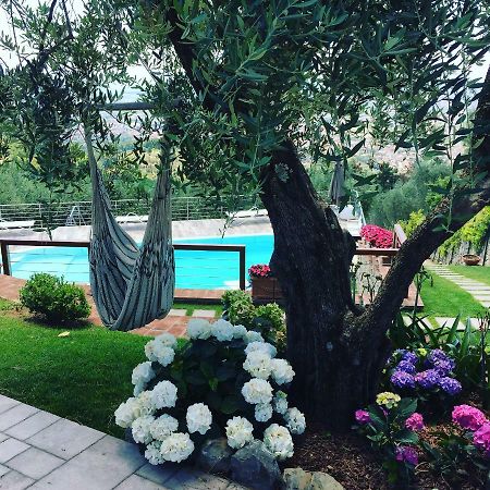 מונטה קטיני טרמה Villa L'Uliveta מראה חיצוני תמונה