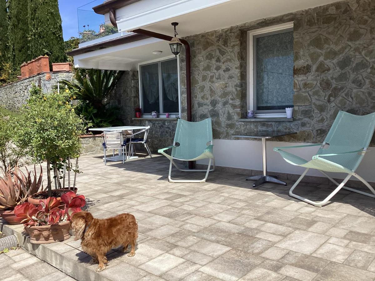 מונטה קטיני טרמה Villa L'Uliveta מראה חיצוני תמונה