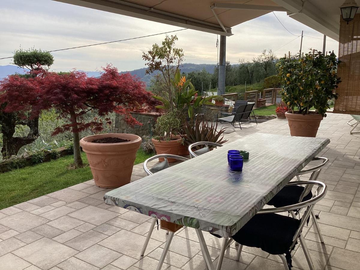 מונטה קטיני טרמה Villa L'Uliveta מראה חיצוני תמונה