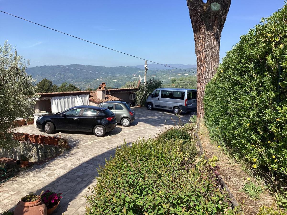 מונטה קטיני טרמה Villa L'Uliveta מראה חיצוני תמונה