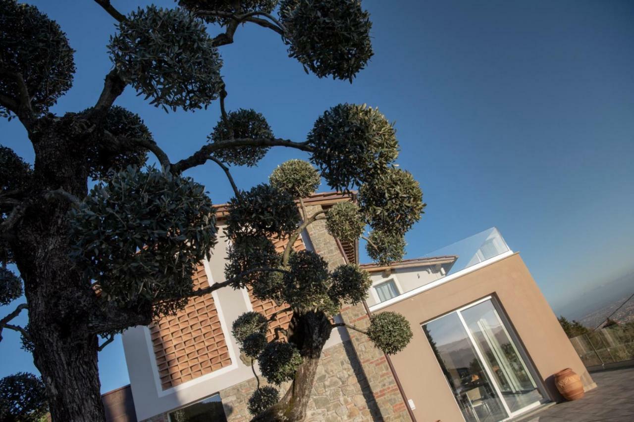 מונטה קטיני טרמה Villa L'Uliveta מראה חיצוני תמונה